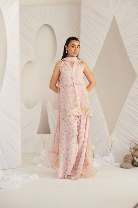 Kyma Blush Organza Jacket and Dupatta