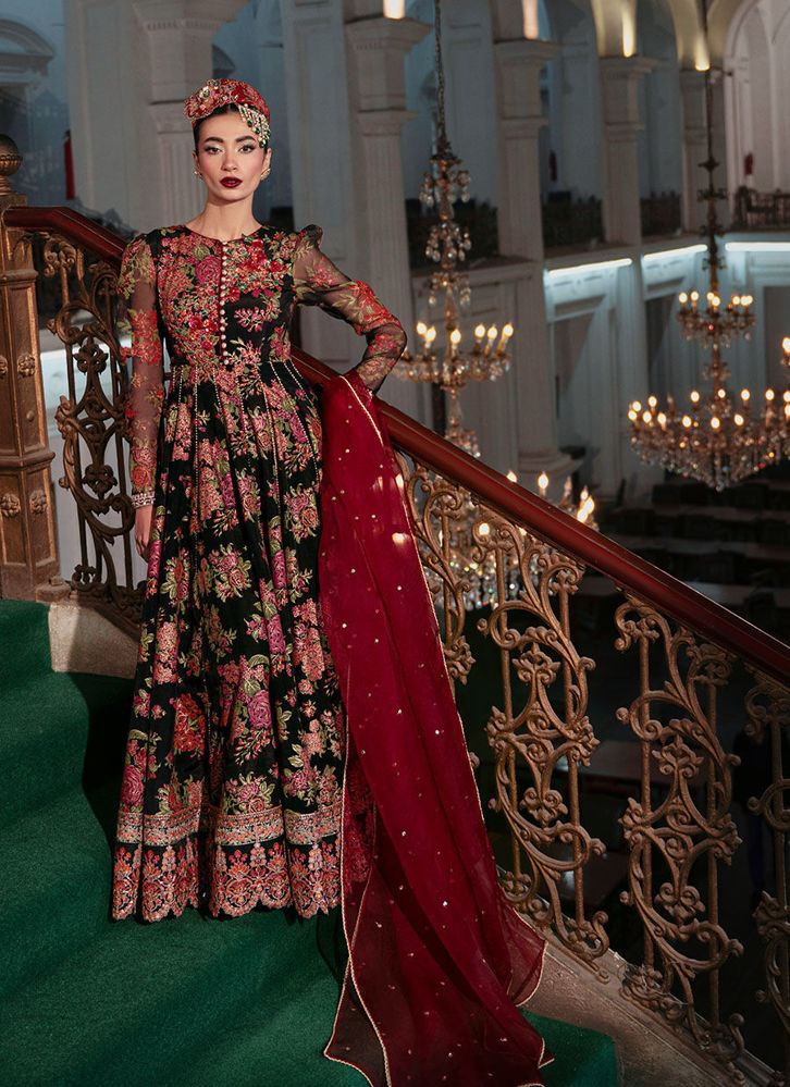 Picture of Black Dahlia