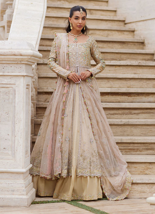 Picture of Sitara Champagne Kalidaar