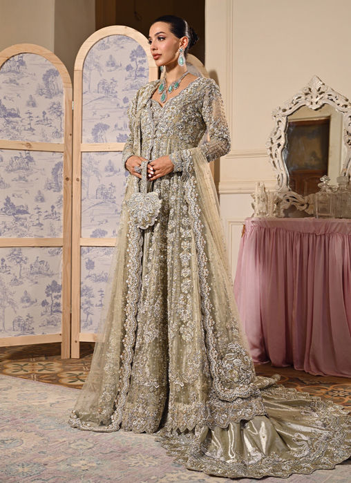 Picture of Nargis