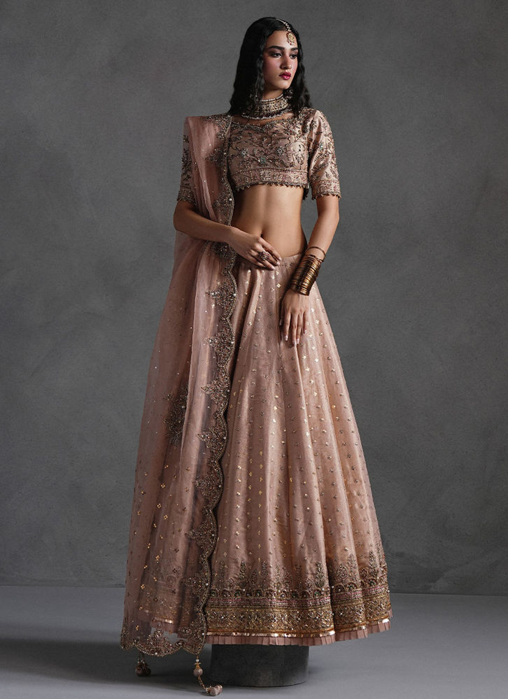 Picture of Rose Pink Lehnga Choli