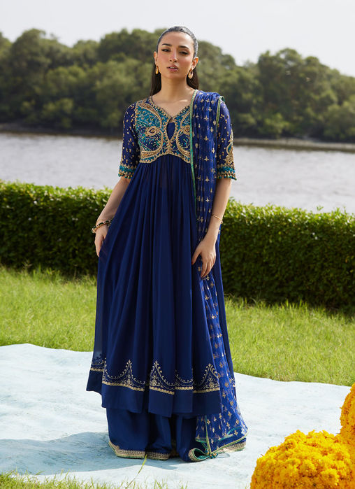 Picture of Zari Navy Kalidaar And Dupatta