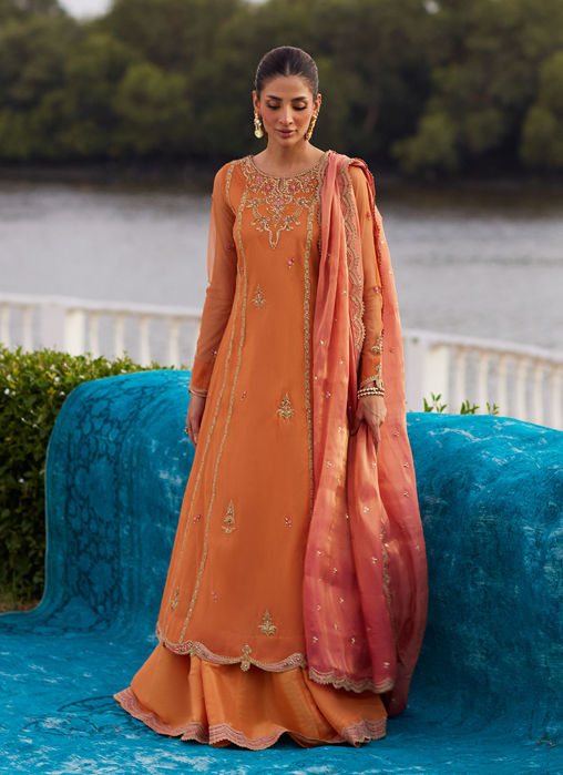 Picture of Anarkali Apricot Kalidaar And Dupatta