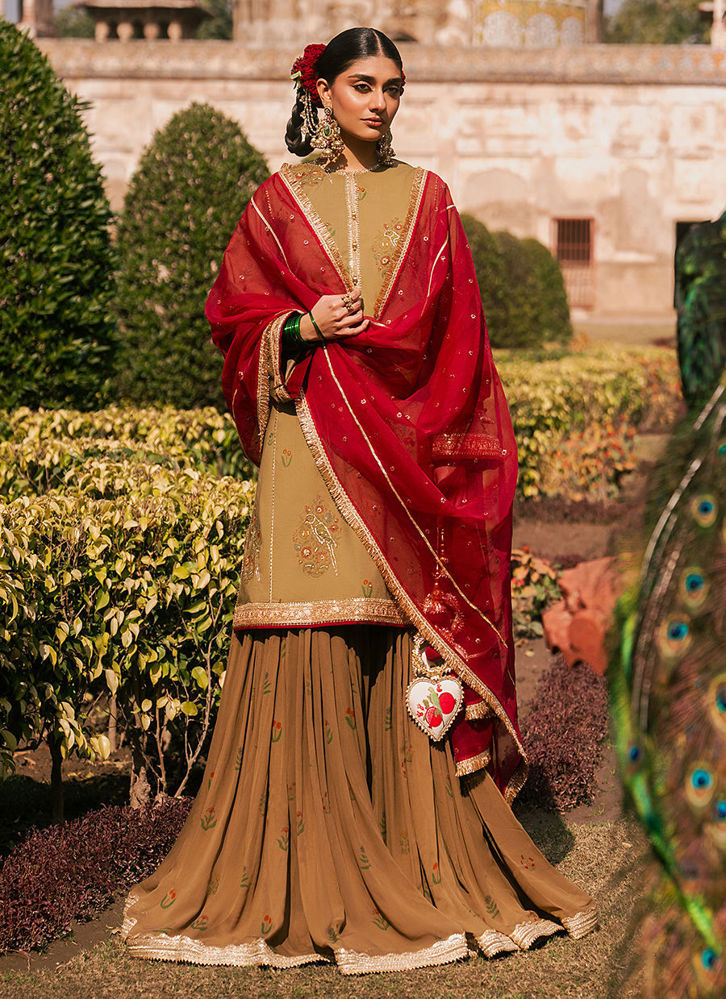 Picture of Noor e Dastaan