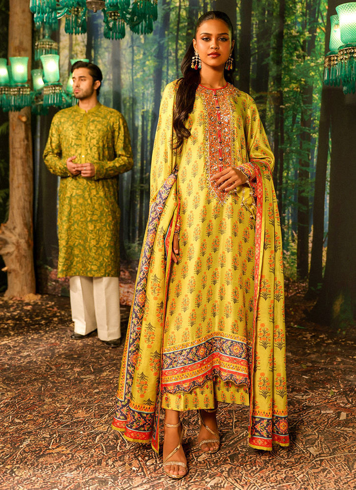 Picture of Nargis Nirvana