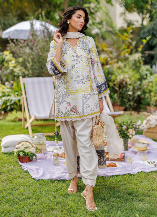 Sunbeam Shirt and Dupatta