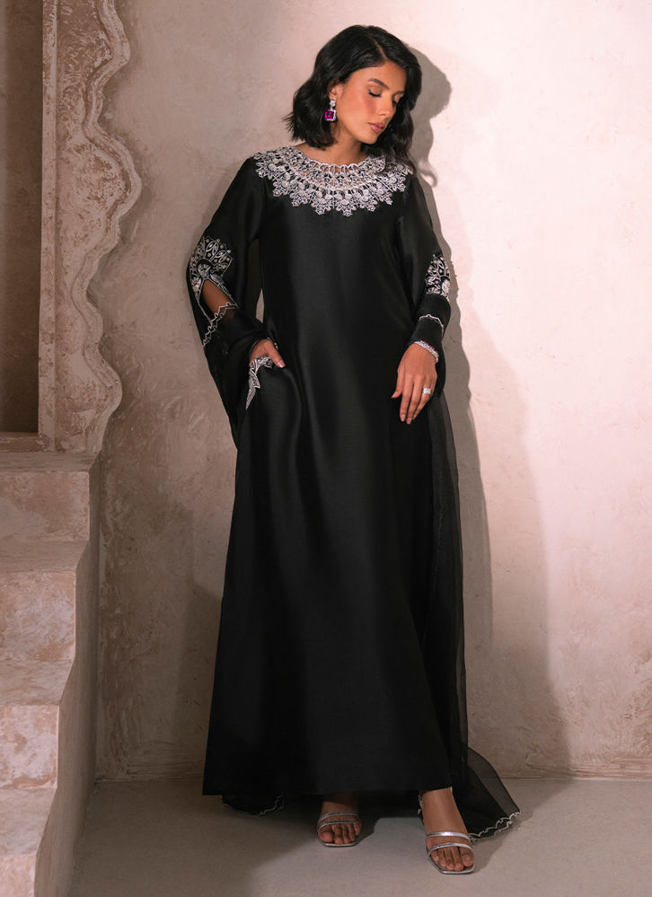 Picture of Black Swan