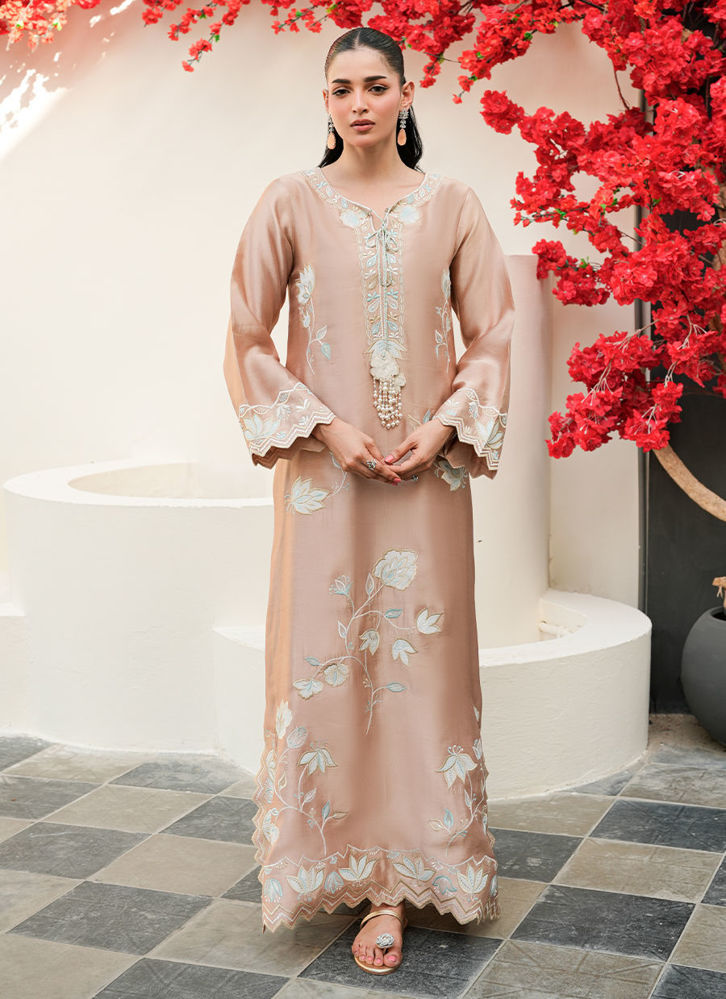 Picture of Nude Noir