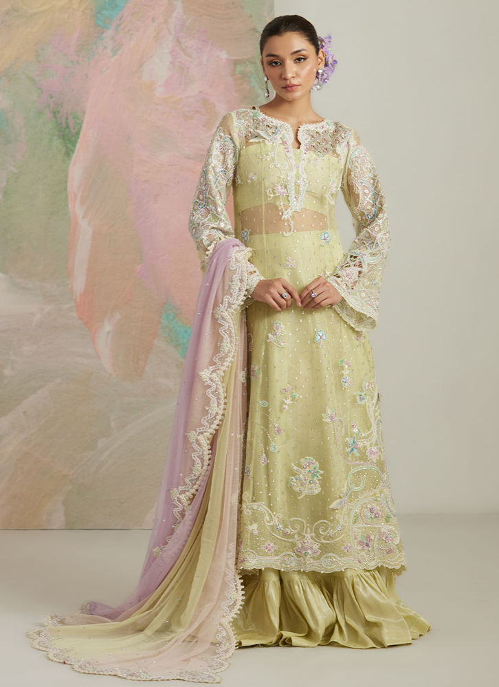 Picture of Castilla Shirt And Lehnga