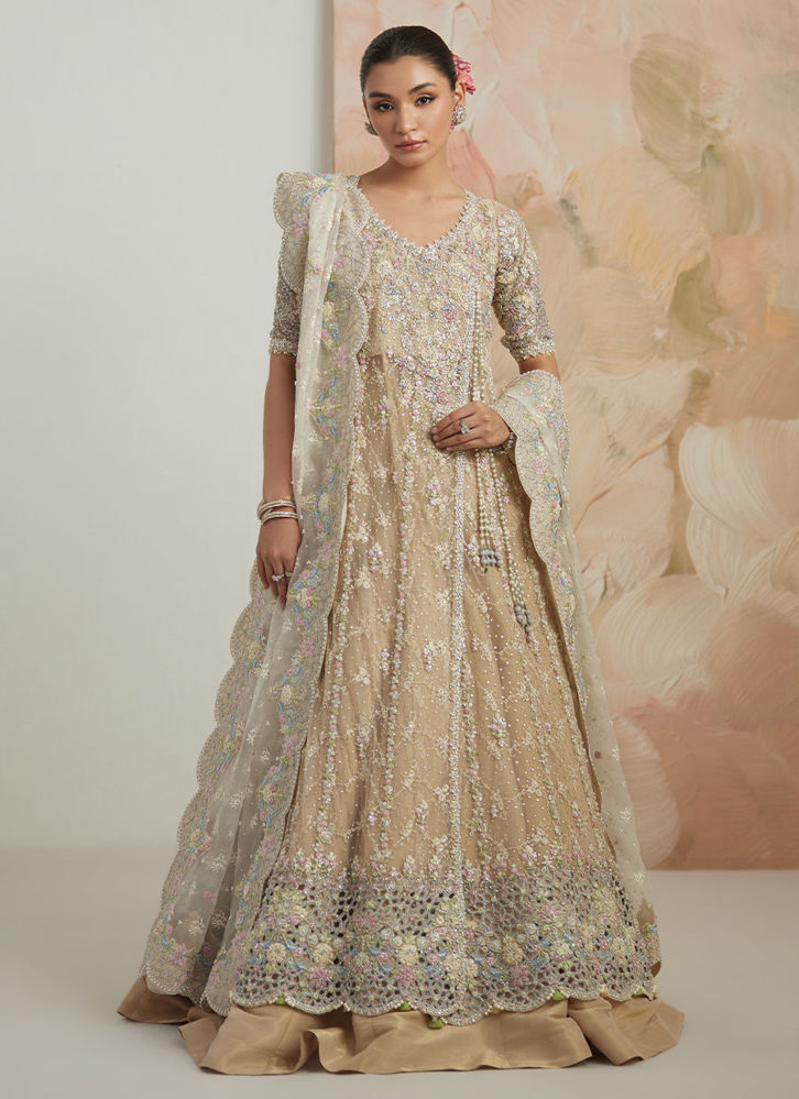 Picture of Laura Angrakha And Lehnga