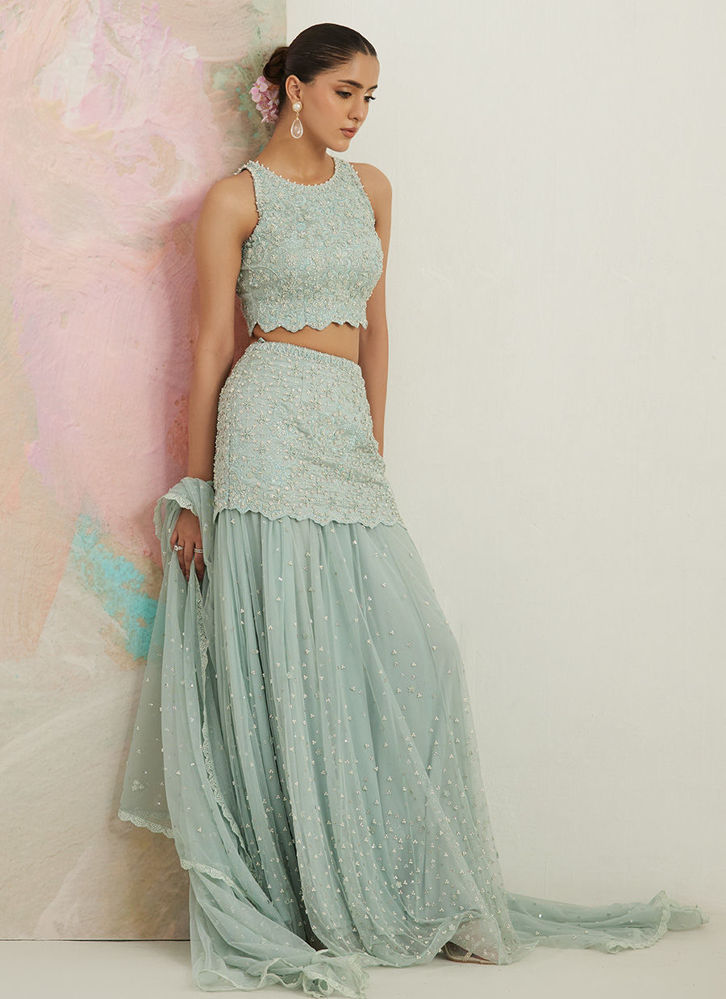 Picture of Gianna Blouse And Net Drape