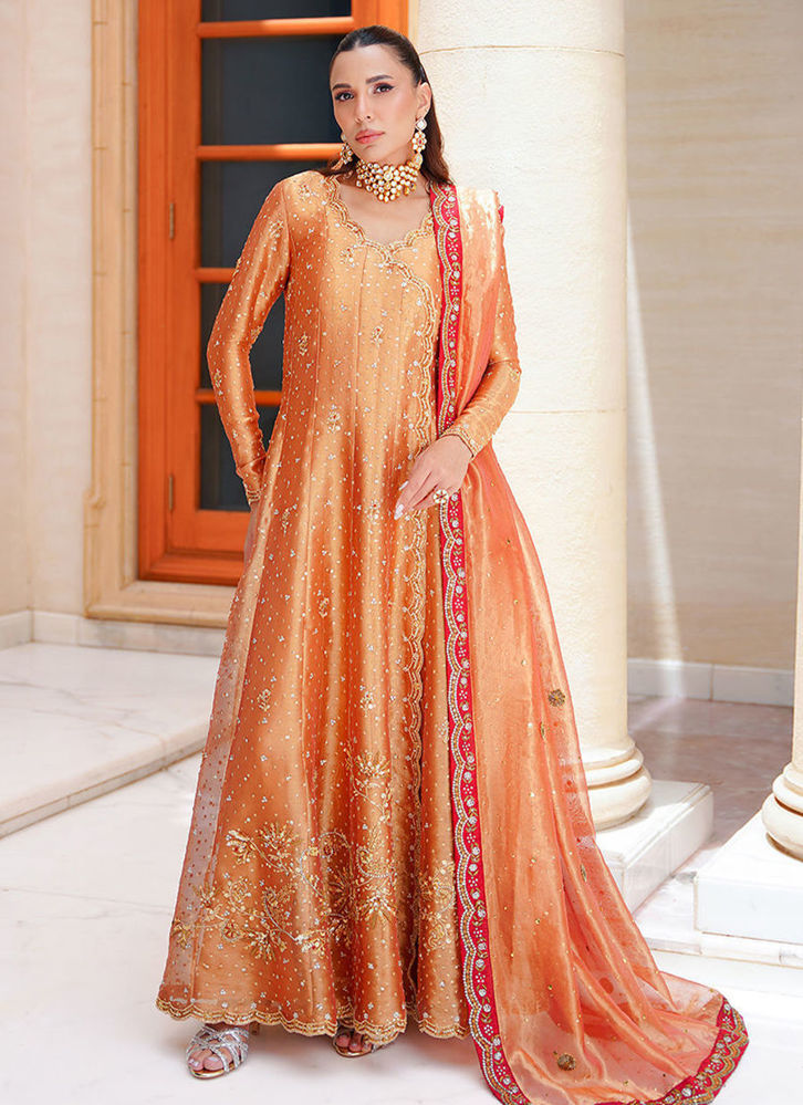Picture of Ashni