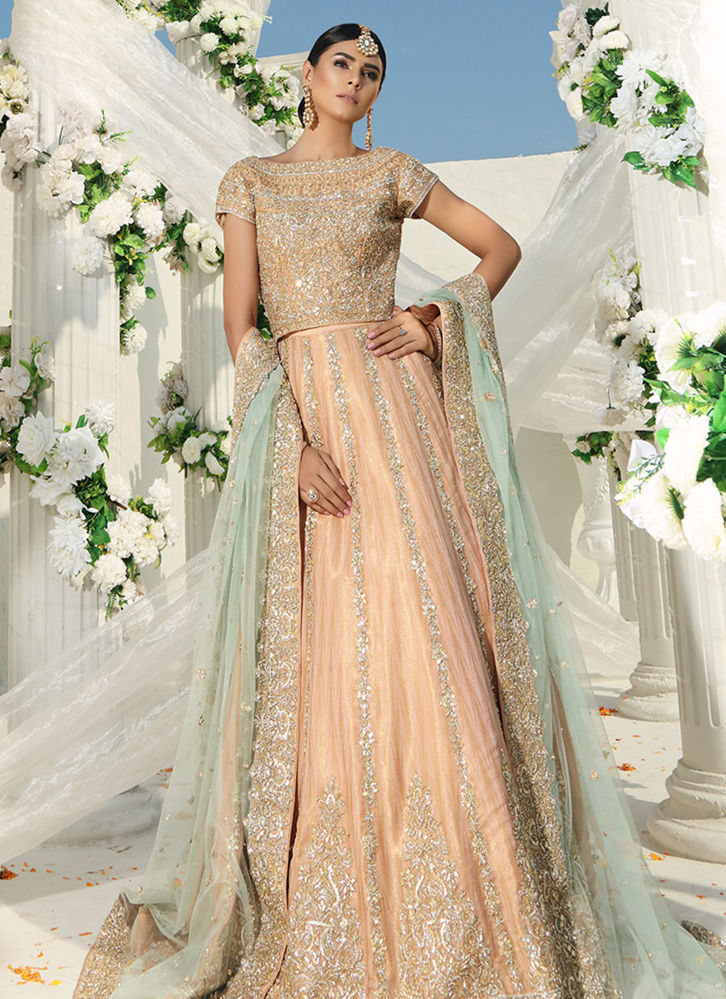 Picture of Chandani