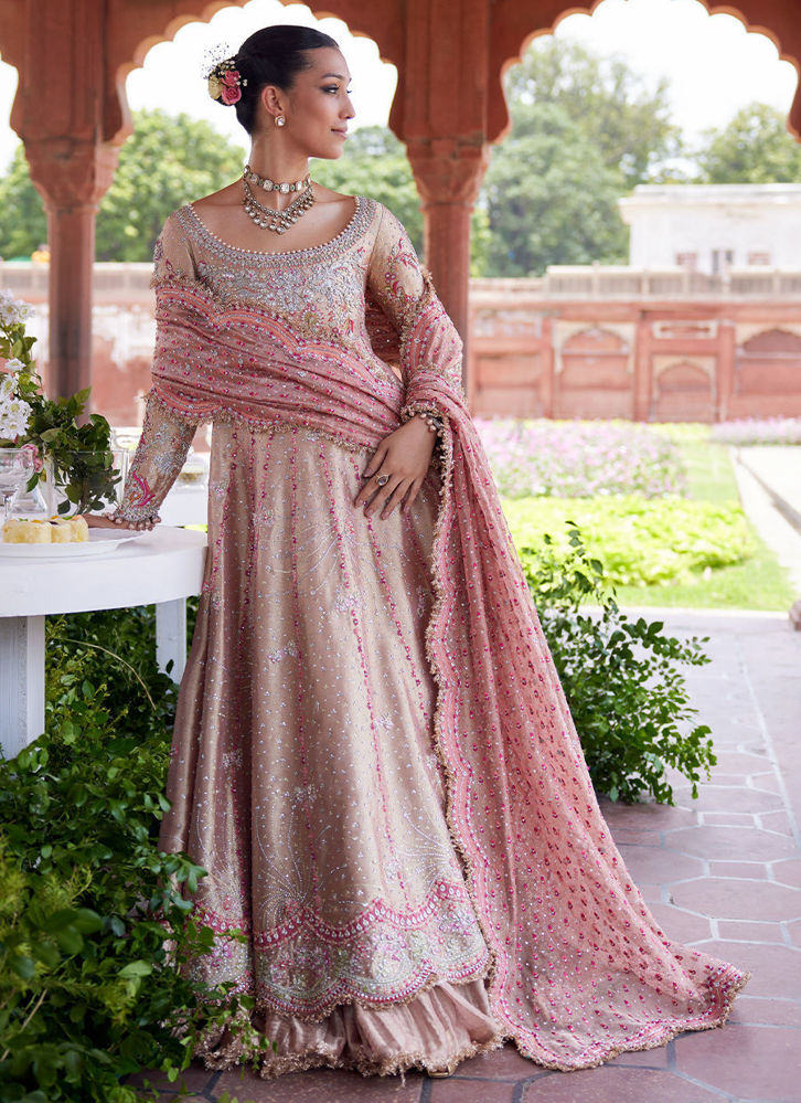 Picture of Evanna kalidaar and Crushed Lehenga