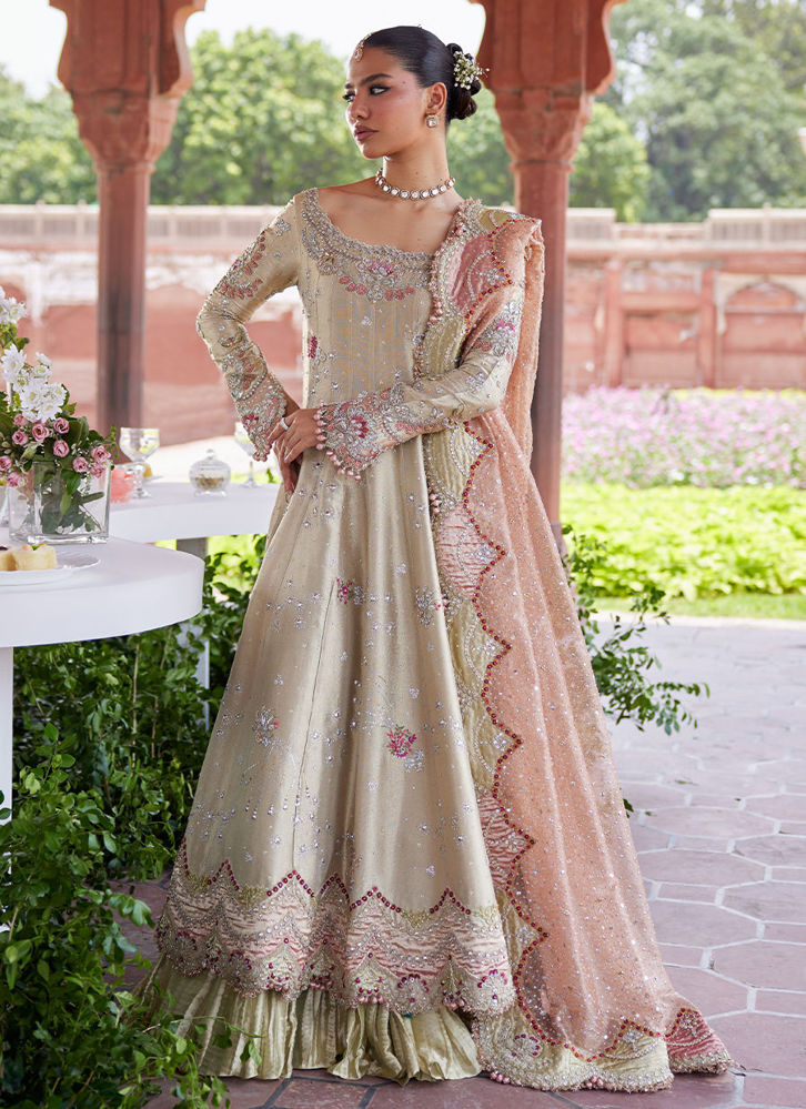 Picture of Helena kalidaar and Crushed Lehenga